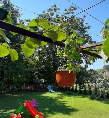Carev Dvor Vrdnik